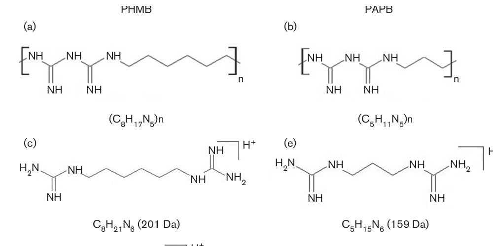 7 Top Characteristics of Polyhexamethylene Biguanide