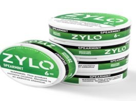 Nicotine Pouches vs. Vaping: Which Is Safer for You?