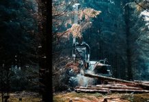 How the Right Mulcher Teeth Reduce Downtime and Fuel Costs