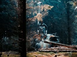 How the Right Mulcher Teeth Reduce Downtime and Fuel Costs